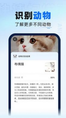 新版畸变矫正对比图