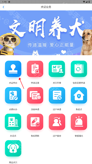 犬证办理流程